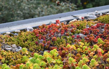 the cost of Chilton Candover green roof installation