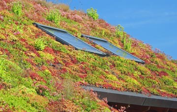 Chilton Candover living roof systems