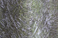 Chilton Candover fibreglass roof work